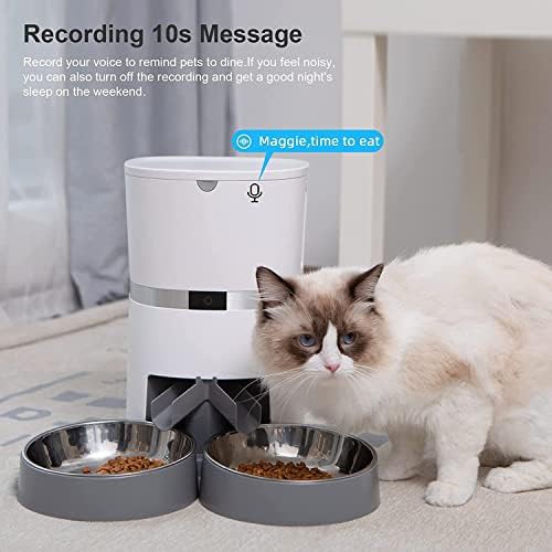 Stainless steel double bowl wifi feeder — photo 4