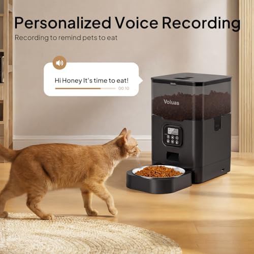 Timed dry food dispenser with voice recorder — photo 4