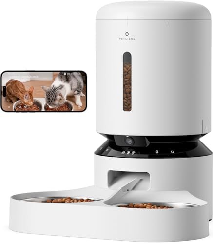 Dual cat camera feeder with alerts