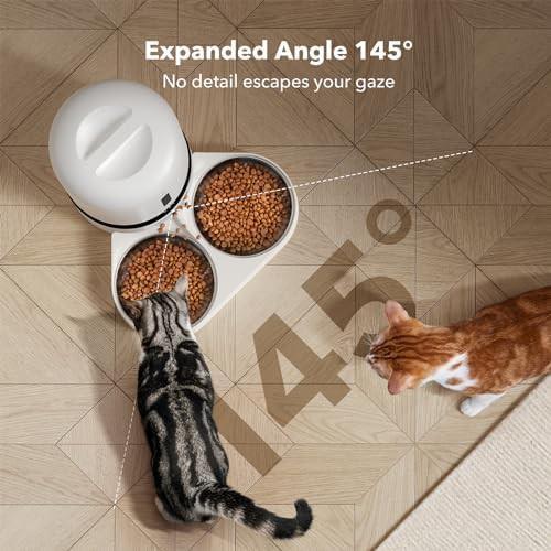 Dual cat camera feeder with alerts — photo 3