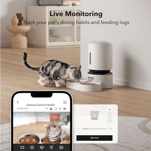 Dual cat camera feeder with alerts — photo 5