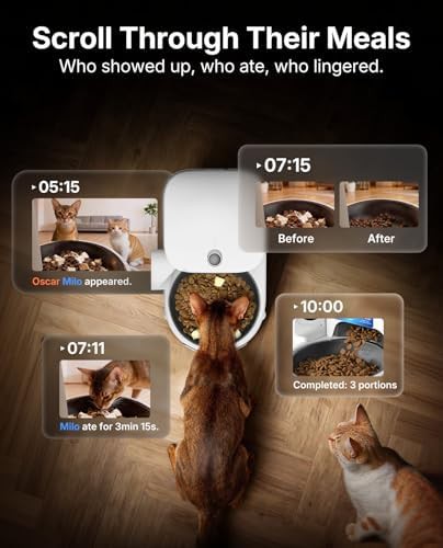 Upgraded multi cat recognition video feeder — photo 3