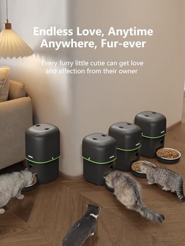 WiFi feeder with HD video and audio — photo 5