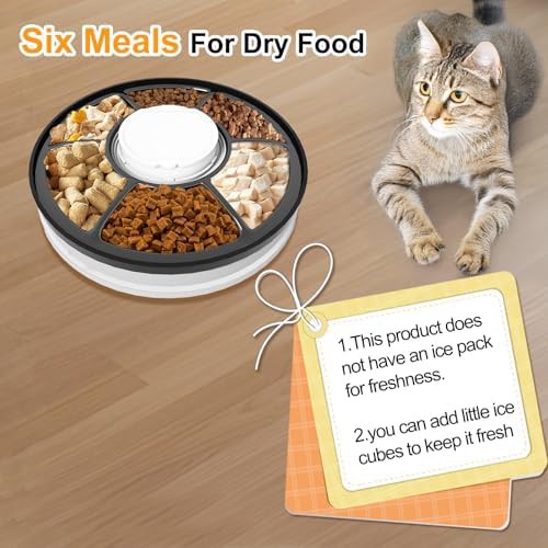Black six meal automatic food dispenser — photo 4