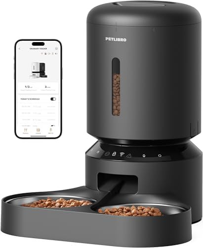 Dual power wifi feeder for two cats