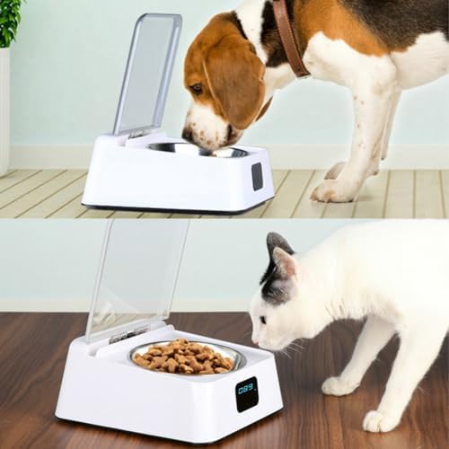 Infrared sensor lid opening pet feeder — photo 4