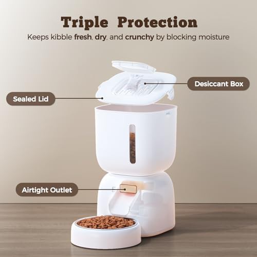 Timed food and water dispenser set — photo 5