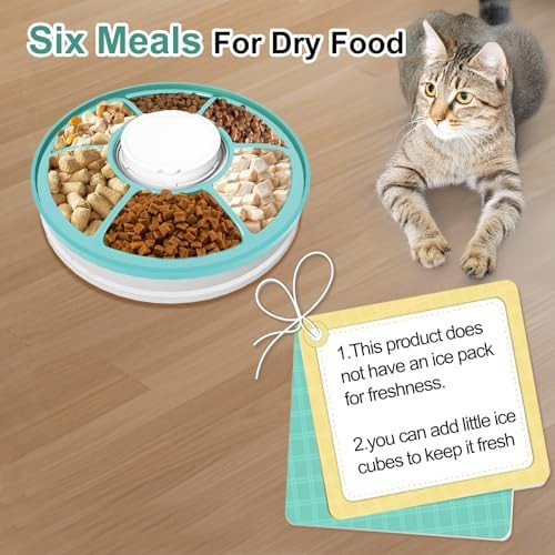 Green six compartment timed pet feeder — photo 3
