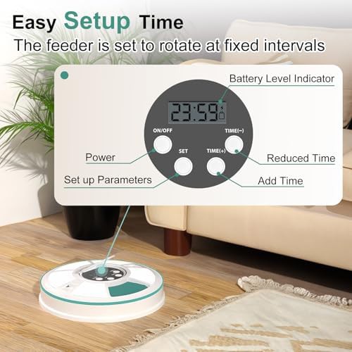Green six compartment timed pet feeder — photo 4