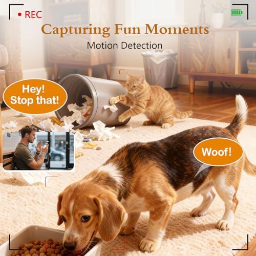 Large capacity smart feeder with camera — photo 5