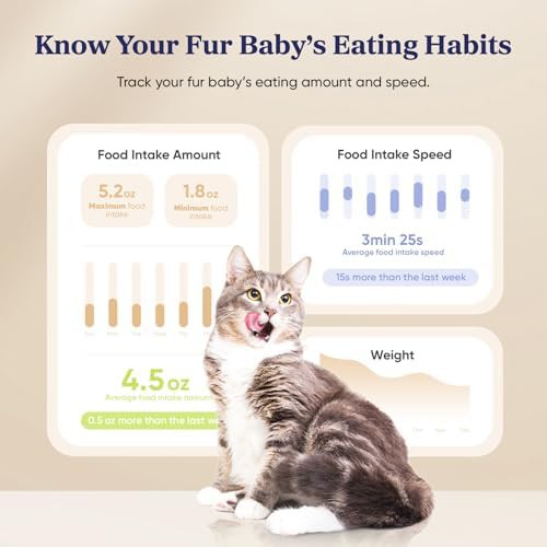 WiFi cat feeder with smart scale — photo 5
