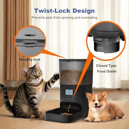 Four liter timed dry food dispenser — photo 4