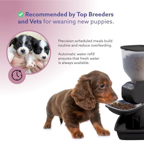 Black automatic feeder and waterer set — photo 4