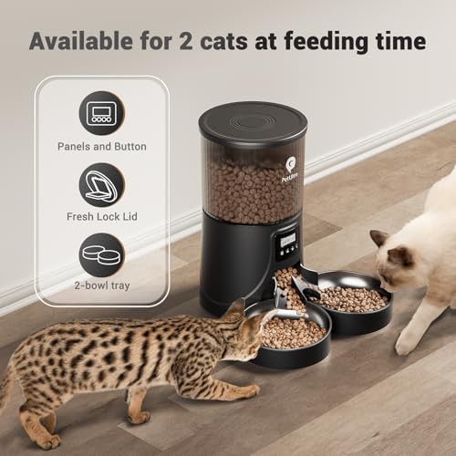 Timed automatic feeder for two cats — photo 4