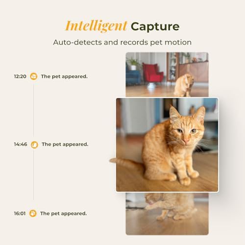 Smart cat feeder with color night vision — photo 3