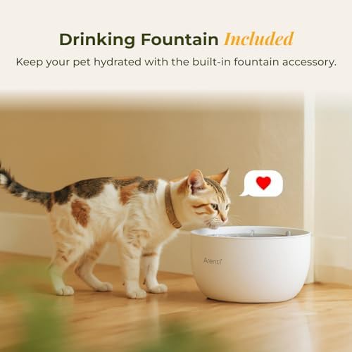 Automatic food dispenser and water fountain set — photo 4