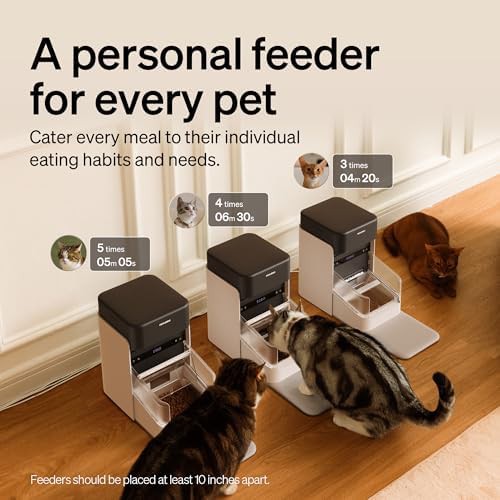 RFID sensor activated cat feeder with tracking — photo 3