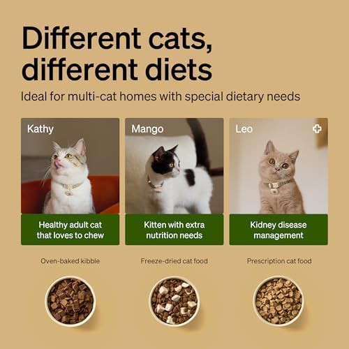 Two pack RFID cat feeders for multiple pets — photo 5