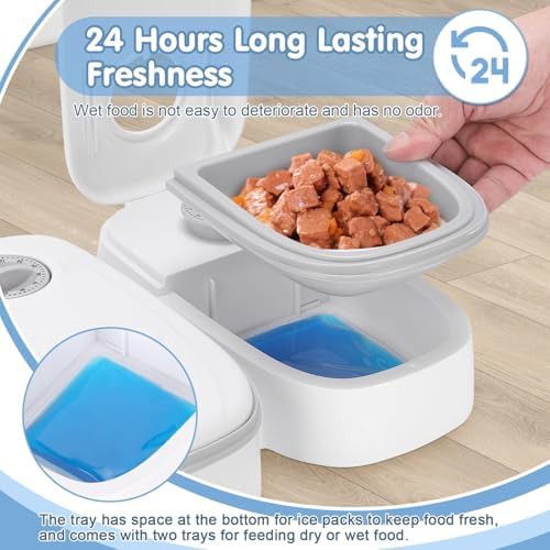 Timed wet food feeder with ice packs — photo 3