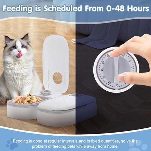 Timed wet food feeder with ice packs — photo 5
