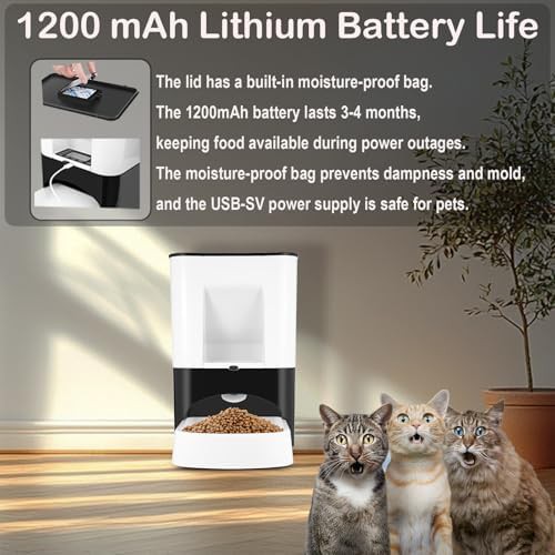 Timed fourteen liter feeder for large breeds — photo 4