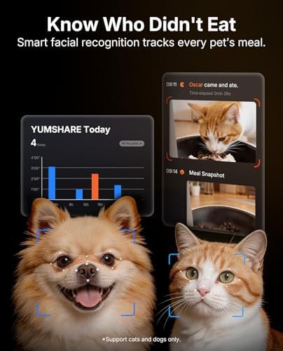 Automatic feeder with multi cat recognition camera — photo 4