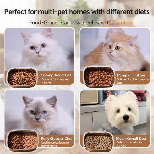 Selective microchip pet feeder with stainless bowl — photo 4