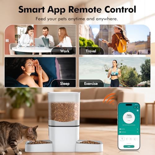 Smart app control feeder for two cats — photo 4