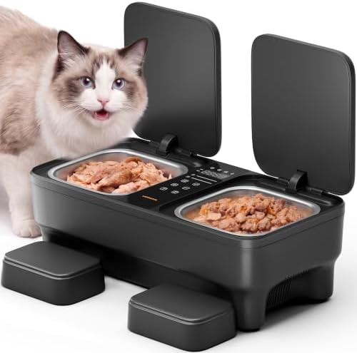 Meowant