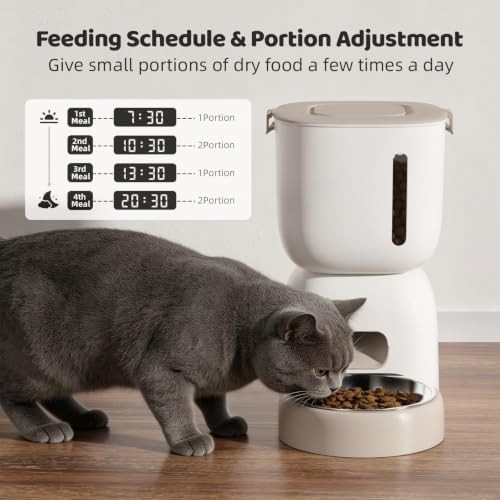 WiFi feeder and stainless steel fountain set — photo 3