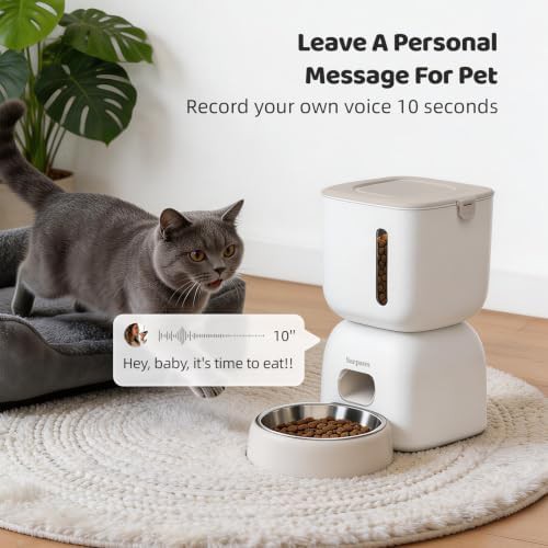 WiFi feeder and stainless steel fountain set — photo 5