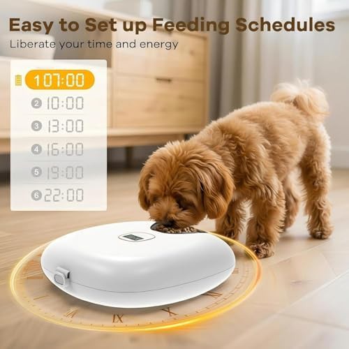 Rechargeable wet food feeder with ice packs — photo 4
