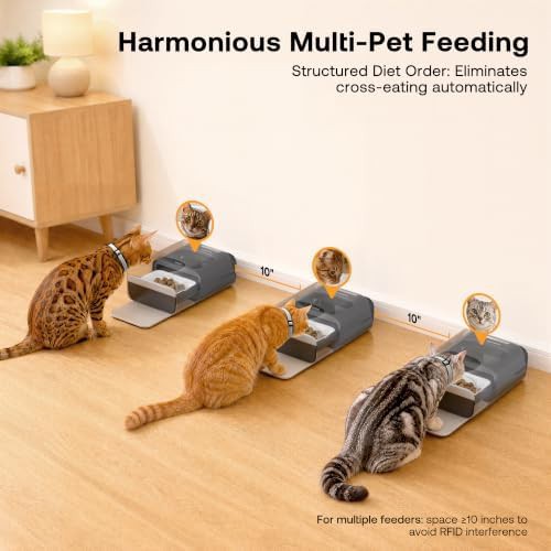 Black automatic feeder with RFID collar sensor — photo 4