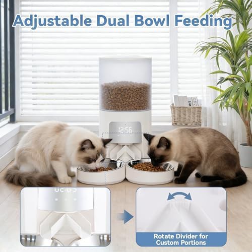 White 6L automatic feeder for two cats — photo 4