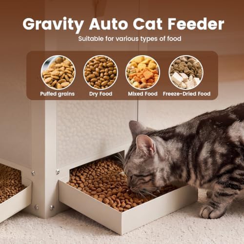 Five liter feeder for four cats — photo 5
