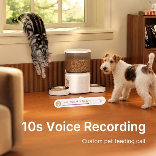 Dual cat feeder with 5G WiFi — photo 4