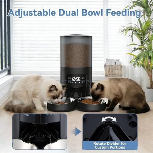 White six liter dual pet feeder — photo 4