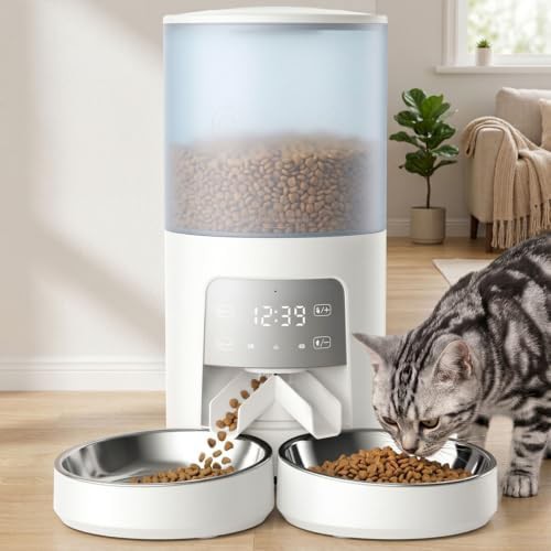 Gray six liter dual pet feeder