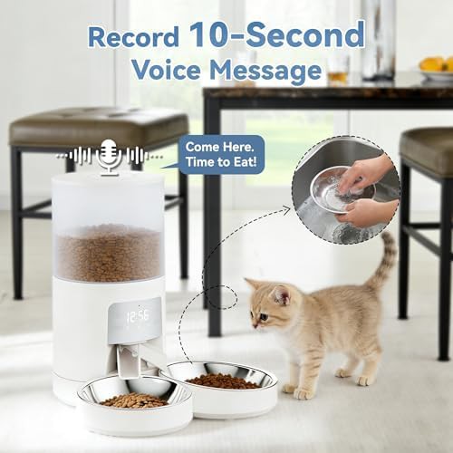 Gray six liter dual pet feeder — photo 5